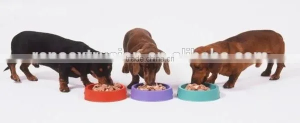 Intentional Lab Extruder for Making Pet Pellet Food photo-4