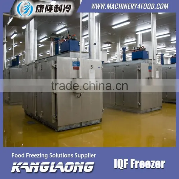 High Quality IQF Compact Freezer With Good Price photo-2
