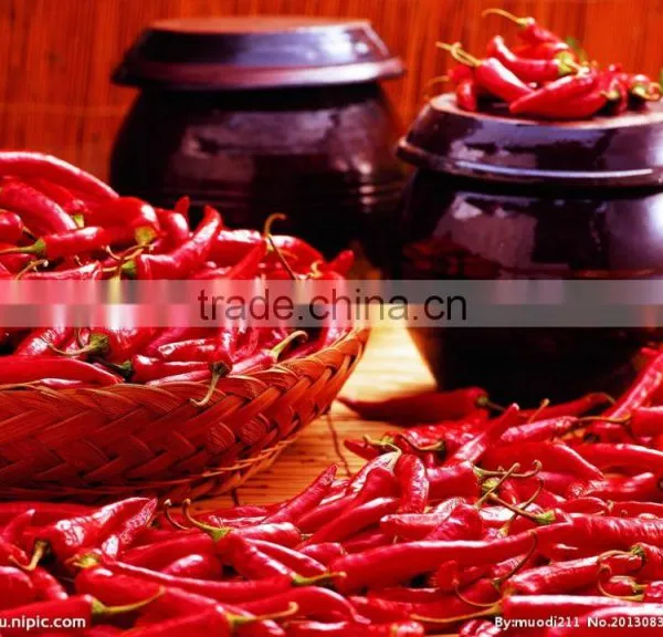 FP-05 Shanghai Commercial Red Chili Pepper Making Machine photo-2