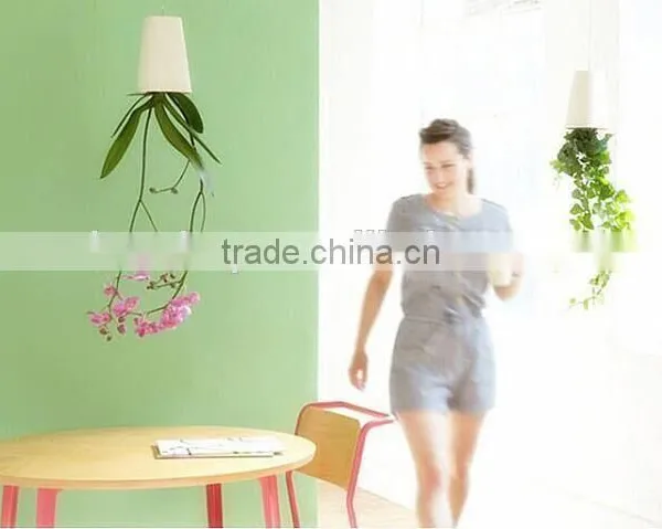 Plastic Sky Planter Creative Decorative Home Mini Sky Garden Flower Pot Beauty Sky Planter photo-5