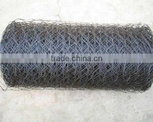 Black Hexagonal Wire Netting
