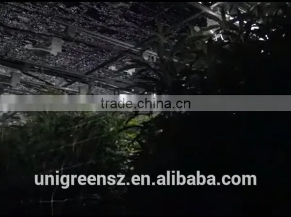 Top Quality Material Light Deprivation Blackout Greenhouse photo-4
