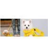 Sell Multi-function Pet Carriers