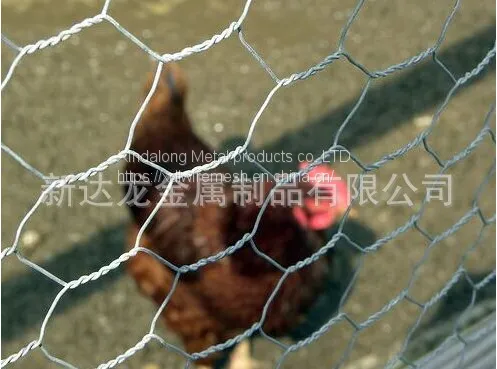 Hexagonal Wire Mesh|PVC Iron Mesh|plastic Coated Wire Netting|chicken Netting photo-4