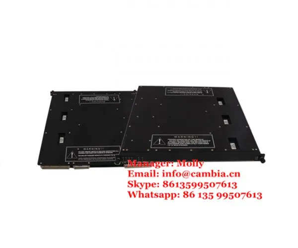 Triconex AI3351