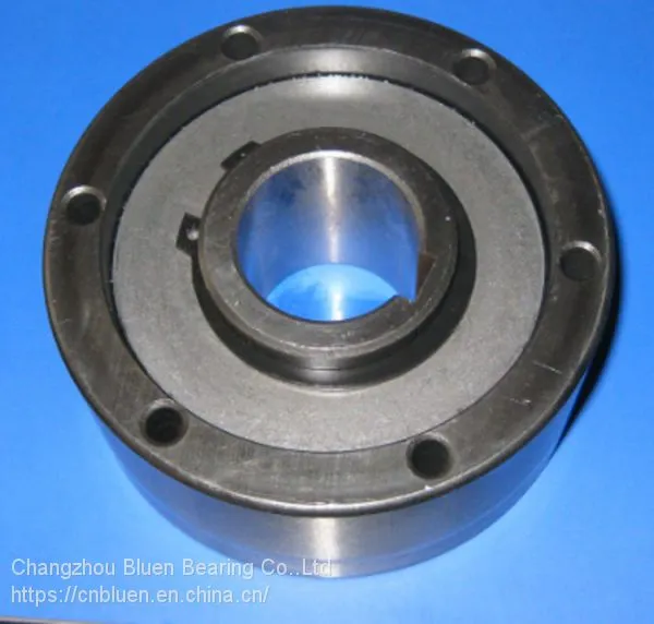 AA Series Engine Bearing One Way Clutch Bearing Manufacturer Auto Clutch photo-3