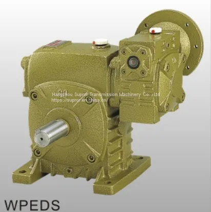 Wpa Worm Shaft Reducer Wp Series Worm Gear Reduction Gearbox Worm Speed Reducers photo-4