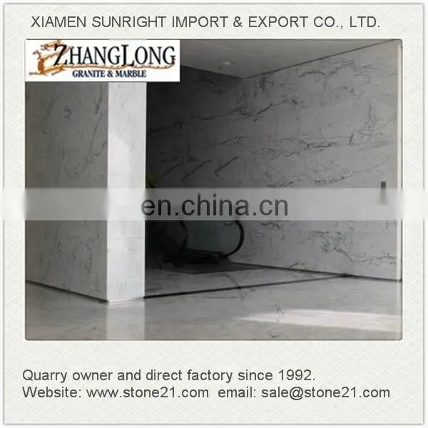 Bianco Carrara White Italian Marble Types photo-3