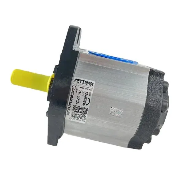 Settima Screw Pump G47 G38 G55 G38C G55V G55C G33C G47C G28V Series G47C032FSBACODV Hydraulic Gear Pump