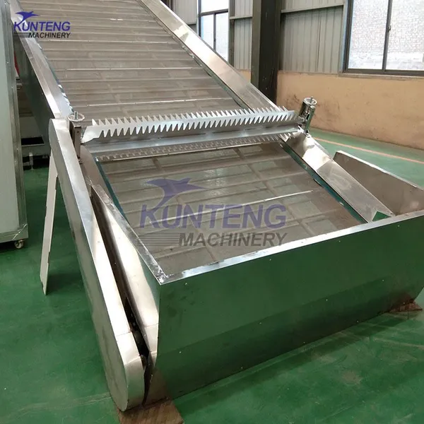 Continuous Mesh Vegetables and Fruits Peanuts Drying Equipment photo-4