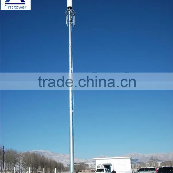 Telephone Pole for 3G 4G GSM Mobile Phone Signal photo-5