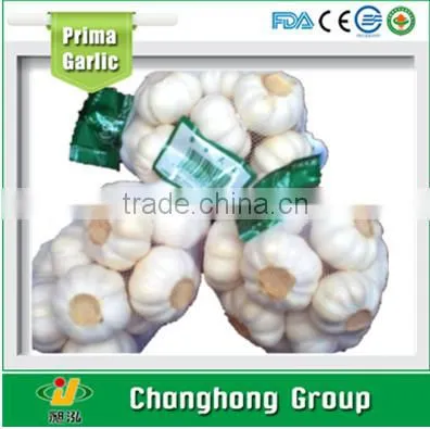 Directly Supply 10kg Mesh Bag Garlic photo-2