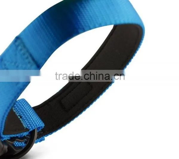 Pet Accessories Dog Pet Training Collar