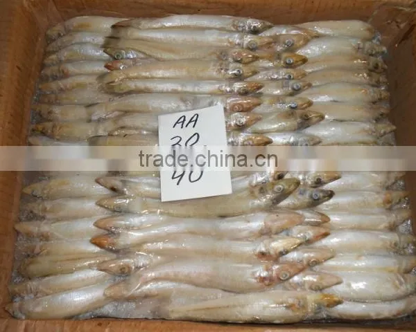 FROZEN LADY FISH photo-3