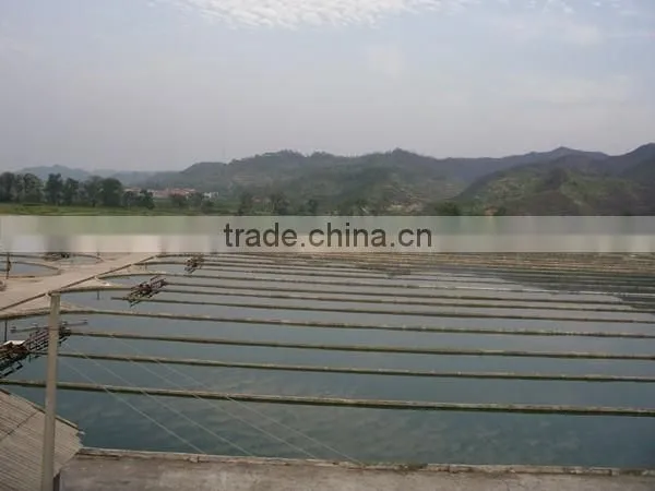 Dietary Supplement Type and Immune and Anti-Fatigue Function Natural Organic Spirulina Tablet photo-4