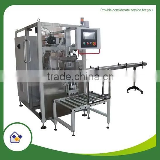 Customized Auto Case Packer