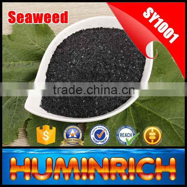 FAQ 29--How To Use Seaweed Fertilizer To Improve The Quality Of Avocado? photo-3