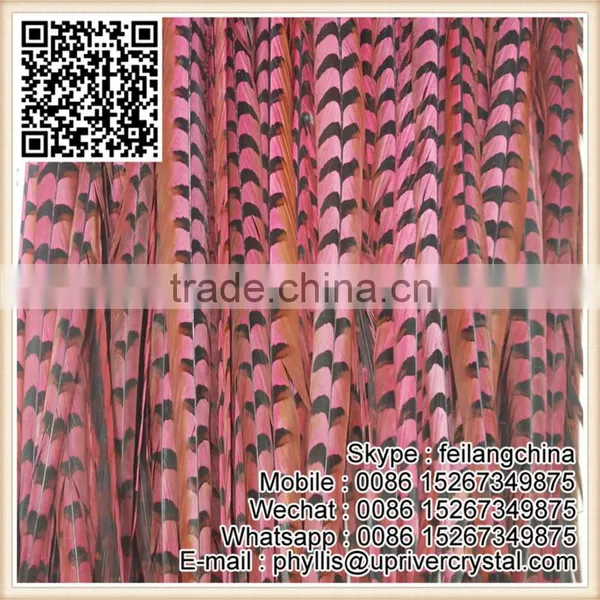 Top Selling New Design 90-100CM Watermelon Reeves Pheasant Feather photo-3