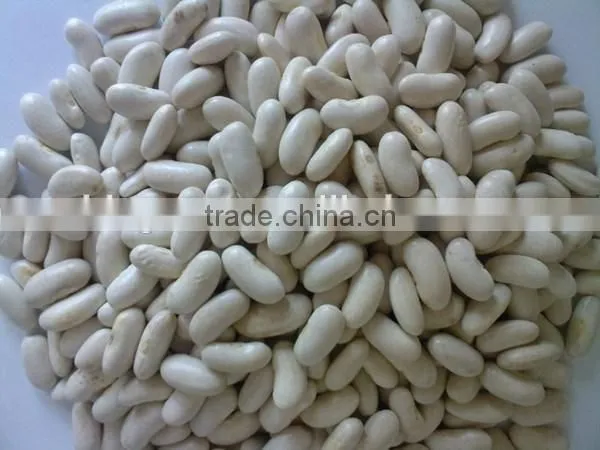Chinese Medium White Kidney Beans for Sale Quality Choice photo-4