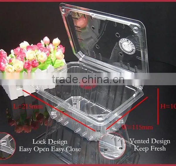 Transparent Vented APET Material Plastic Fruit Container With Lid DY-H2000A photo-2