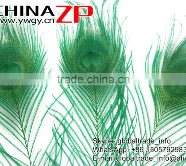 Leading Supplier CHINAZP Wholesale Cheap Full Eye Dyed Green Peacock Tail Feathers photo-4
