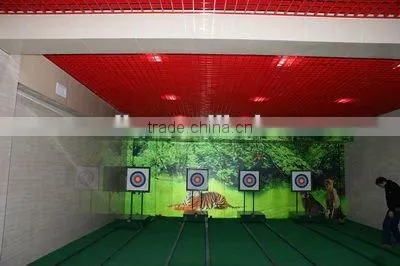 Indoor Simulated Archery