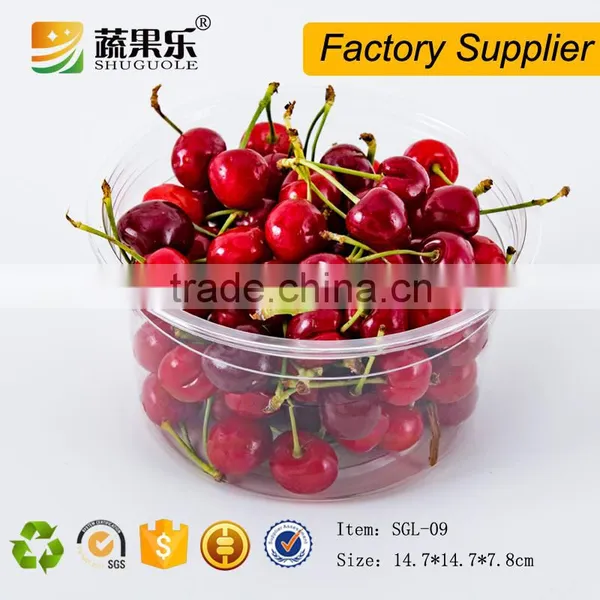 Hot Sell Disposable Cheap Plastic Salad Bowl photo-4