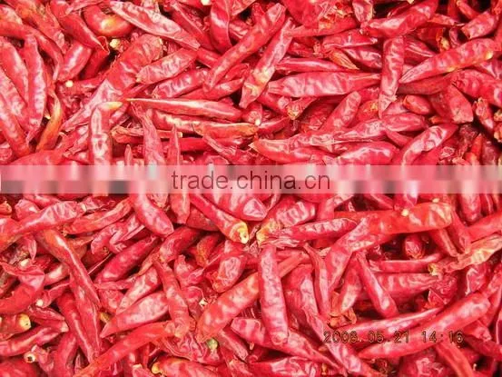Tianjin Red Chillies