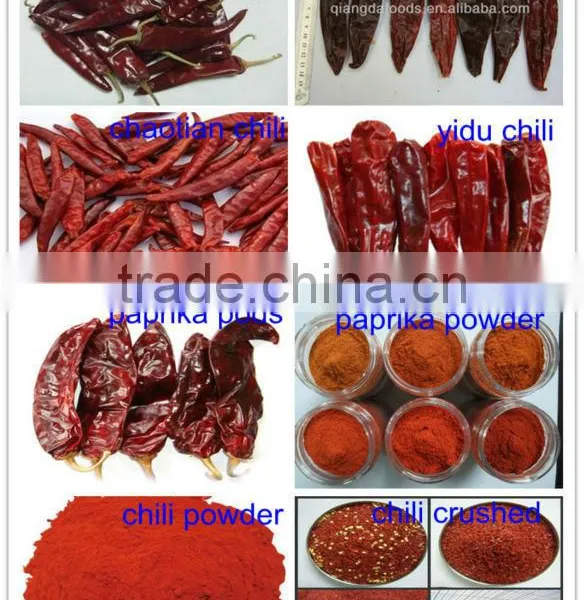 HACCP FDA KOSHER Certified Sweet Whole Paprika Pods photo-5