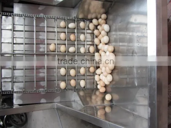 FT-200 Full Automatic Peeler Type Pre-boiled Hen Eggs Goose Eggs Sheller Shelling Machine With Stainless Steel photo-5