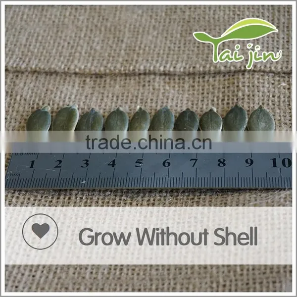 Organic Pumpkin Seeds Kernel GWS photo-4