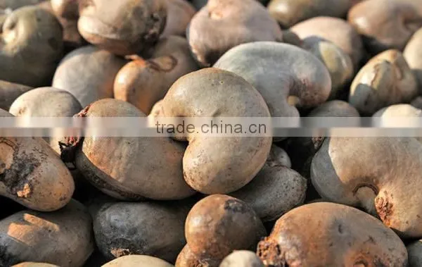 Dried Raw Cashew Nuts