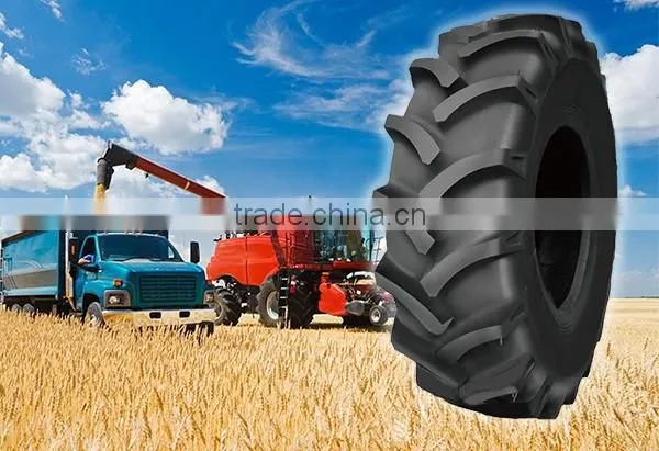 Mahindra Tractor Tire 16.9x34 Price photo-4