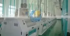 50t Flour Mill Machine Wheat Milling Factory Flour Mill Roller Wheat Milling Equipment Flour Mill Production Line photo-6