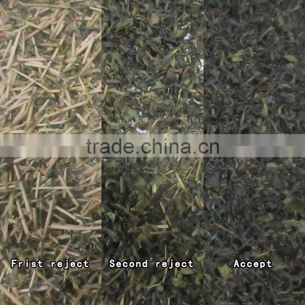 ZRWS Intelligent CCD Green Tea Color Selecting Machine photo-2