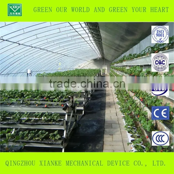 Low Cost Agriculture Greenhouse for Vegetable and Flowers photo-3