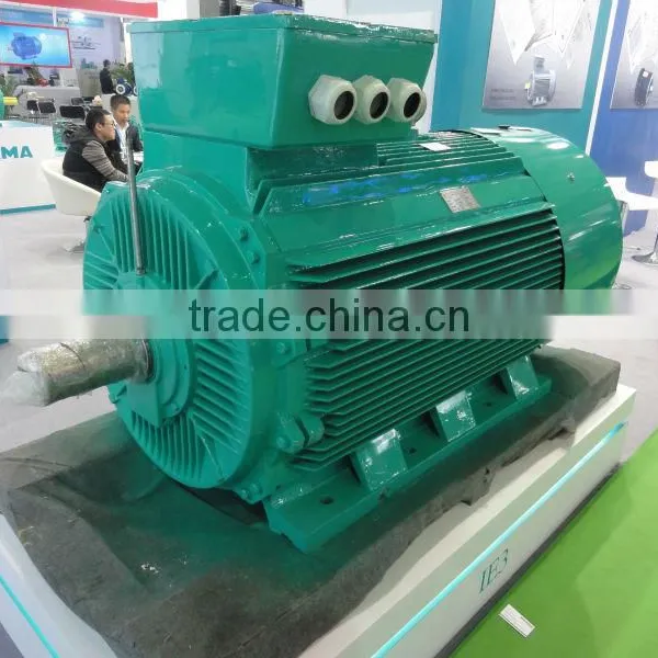 Cast Iron IE1 Three Phase Electric Motor photo-4