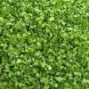Dehydrated Chive Rolls