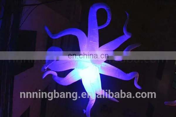Decoration Inflatable Balloon for Party Decoration photo-5