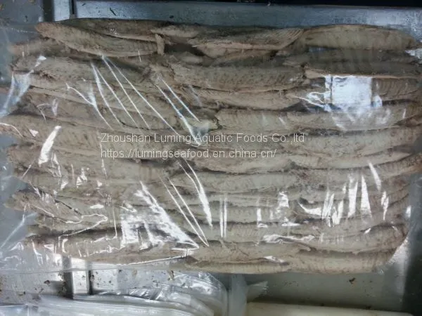 Precooked Sarda Tuna Loin Sarda Orientalis photo-4
