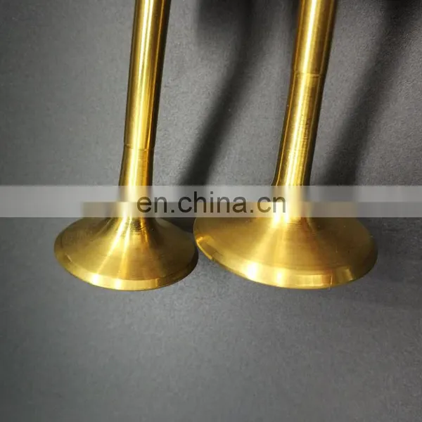 Wholesale Factory Price Intake Exhaust Marine Engine Valves For Deutz MWM TBD604BL6 Diesel Generator photo-5