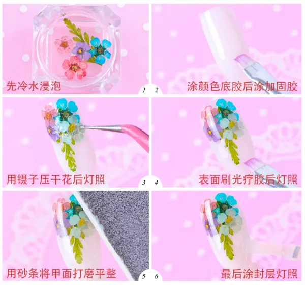 Daisy Camellia Dry Flower Dried Flower Acrylic Nails Nail Decorations Sticker Leaf photo-3