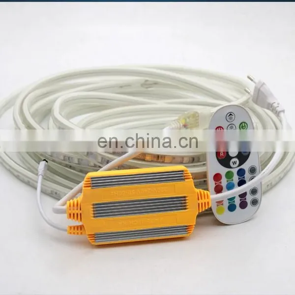 AC220V 25 Key IR Controller for 220V RGB Strip Light Neon Light photo-4