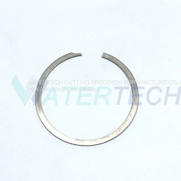 WT 05034798 Сдерживающий кольцо     Части водоструйной установки Watertech     Части водоструйной установки в продаже     Водоструйная установка в продаже