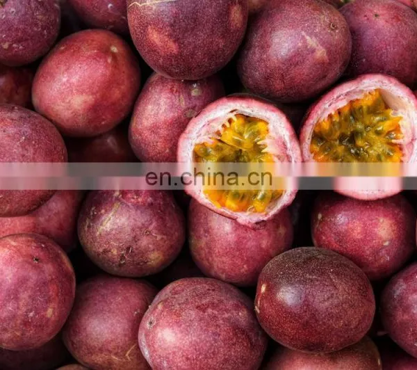 FRESH PASSION FRUITS WITH BEST PRICE AND HIGH QUALITY FROM VIETNAM photo-2