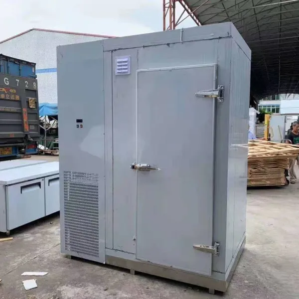 Vacuum Foaming Walk-in Cold Room Supply for Food photo-5