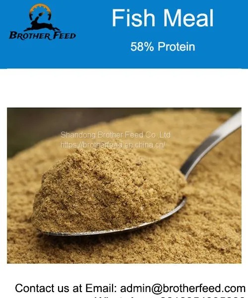 Fish Meal Animal Feed Poultry Food