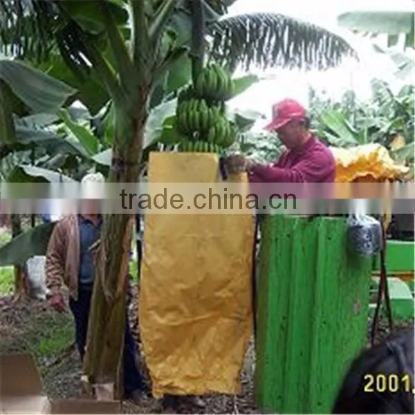 Banana Protection Bags/growing Bags for Fruit photo-2