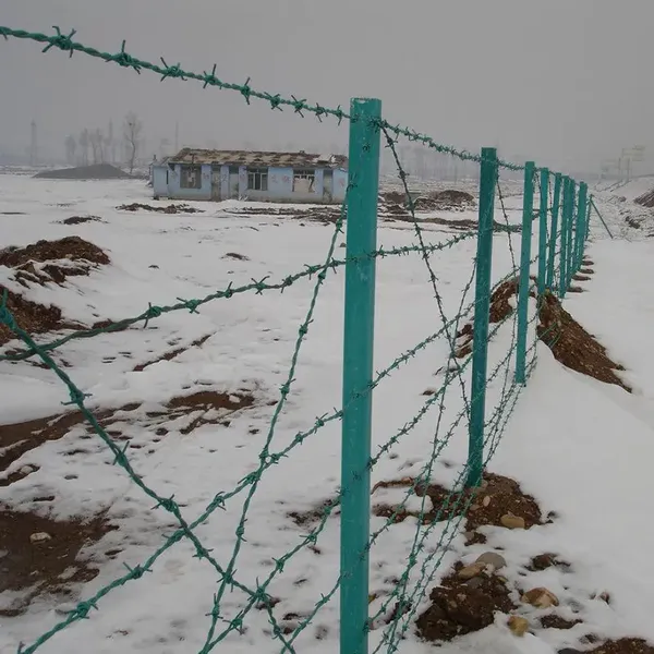 CBT-65 Razor Wire, Galvanized Stainless Steel Wire Mesh, Spiral Coil for Security and Protection