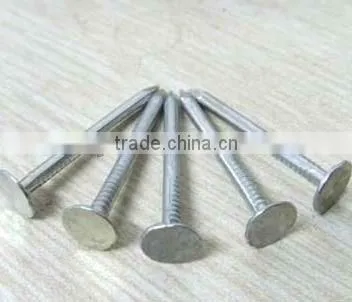 Big Head Clout Nail photo-2